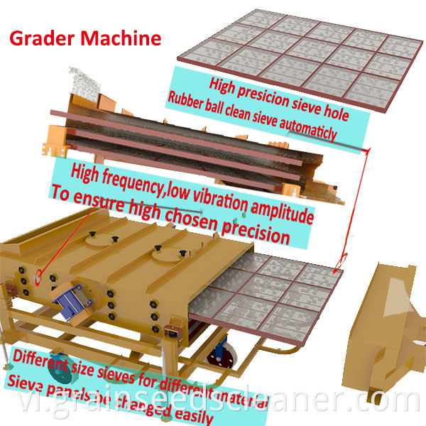 grain seed cleaning process line